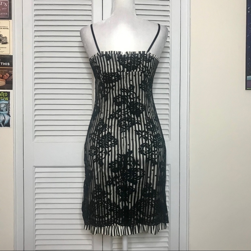 Vintage Black & White Stripe Dress w/ Black Lace - Picture 5 of 5
